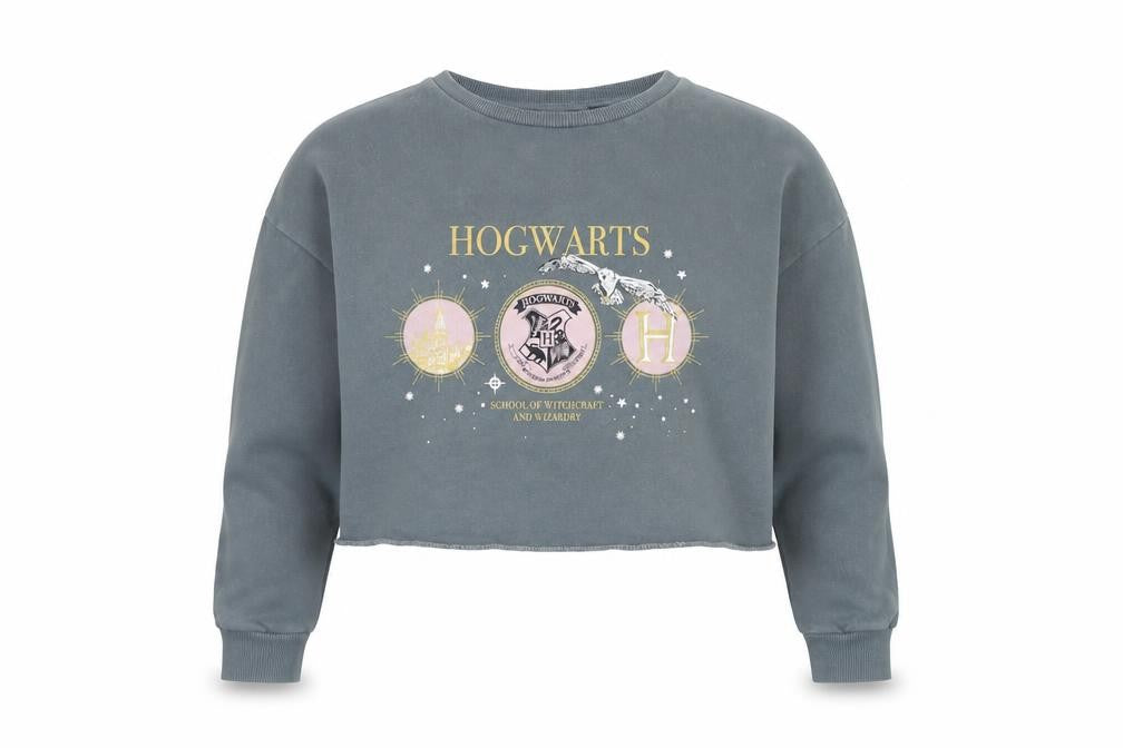 Front view of Harry Potter girls’ grey pullover sweatshirt 12-13 years hogwarts graphic print