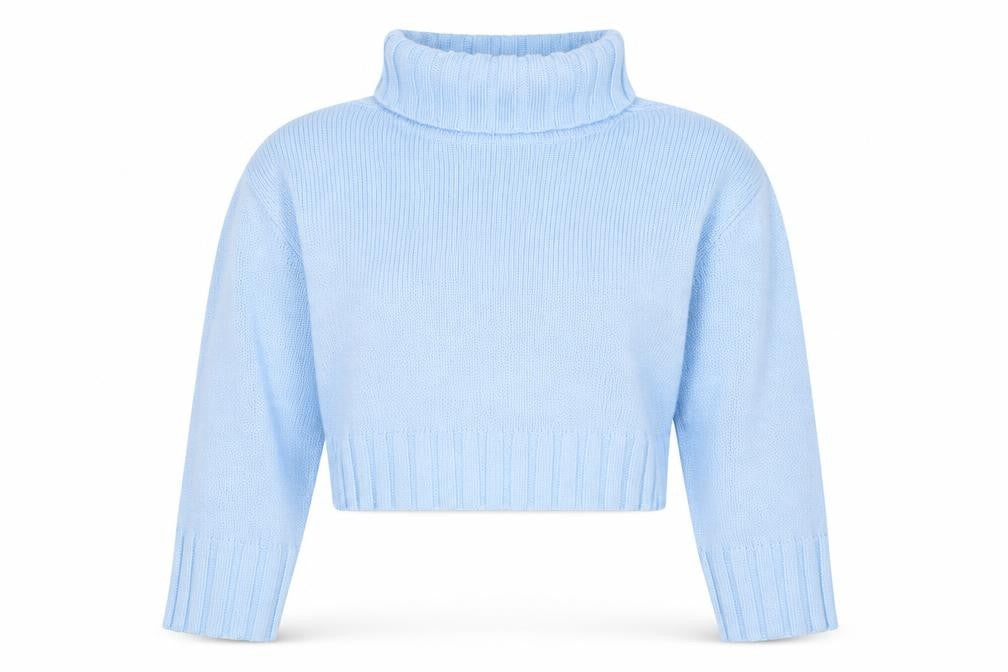 Front view of H&M Divided Women Blue Roll Neck Knit Jumper, size 10