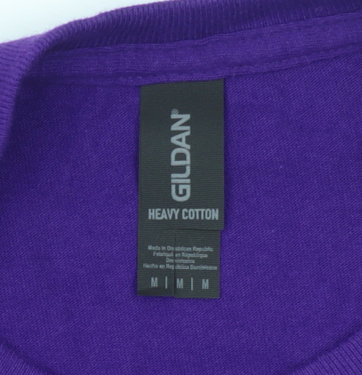 Gildan Men's Purple Heavy Cotton My Motorhome Graphic T-Shirt Size M