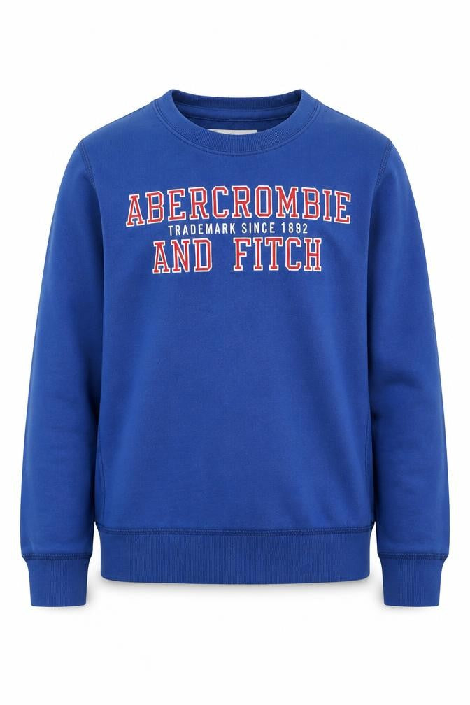 Abercrombie & Fitch Boys Blue 9-10 Years Pullover Fleece Sweatshirt