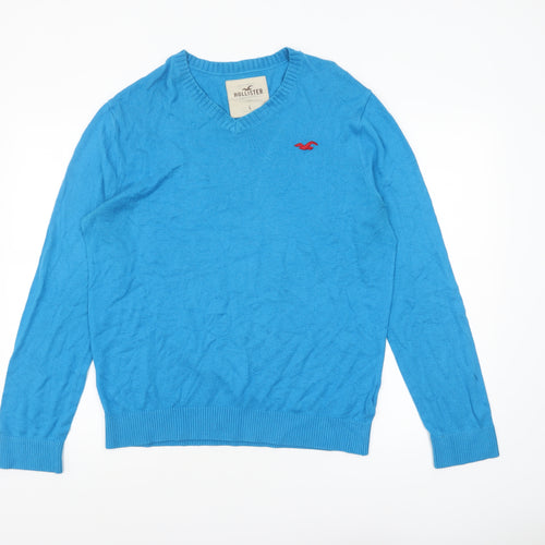 Hollister Men Blue L V-Neck Pullover Jumper Cotton Blend