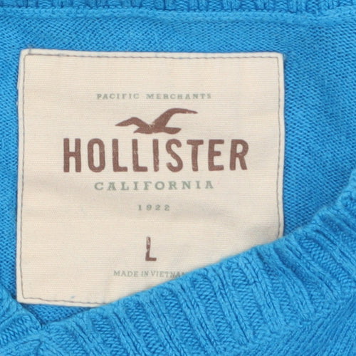Hollister Men Blue L V-Neck Pullover Jumper Cotton Blend