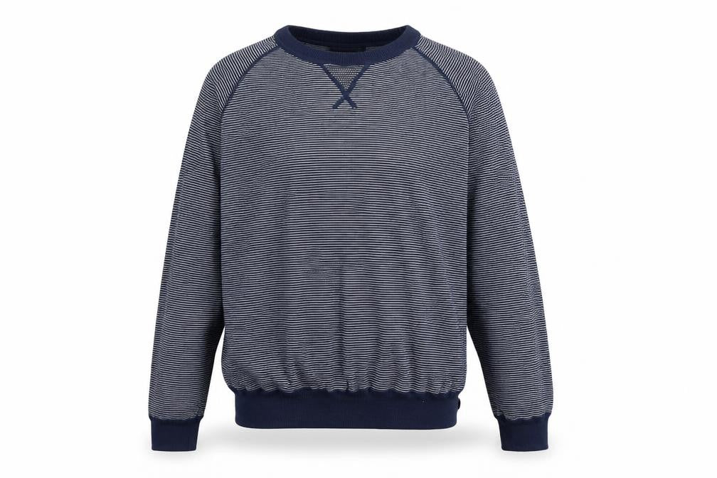 Front view of Haworth Men Blue Striped Cotton Crew Neck jumper XL