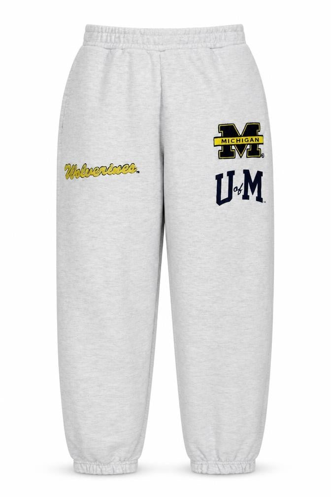 Front view of Michigan Wolverines Grey Hoodie Women’s Medium Pullover Sweatshirt