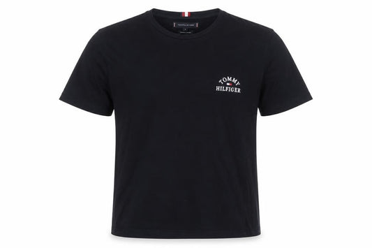 Front view of Tommy Hilfiger Men's Blue XL Organic Cotton Crew Neck T-Shirt