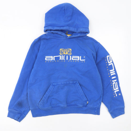 Animal Boys Blue Pullover Hoodie M Graphic Logo Cotton Sweatshirt