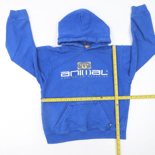 Animal Boys Blue Pullover Hoodie M Graphic Logo Cotton Sweatshirt