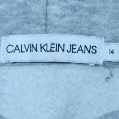 Calvin Klein Jeans Mens Grey Pullover Hoodie Size 14 Classic Fit