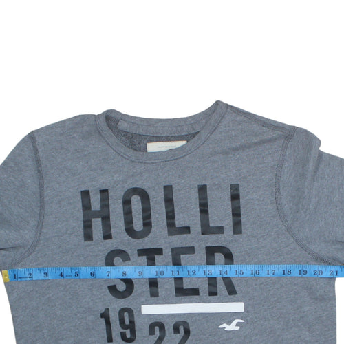 Hollister Men's Grey Logo Pullover Sweatshirt M Crew Neck Graphic Print