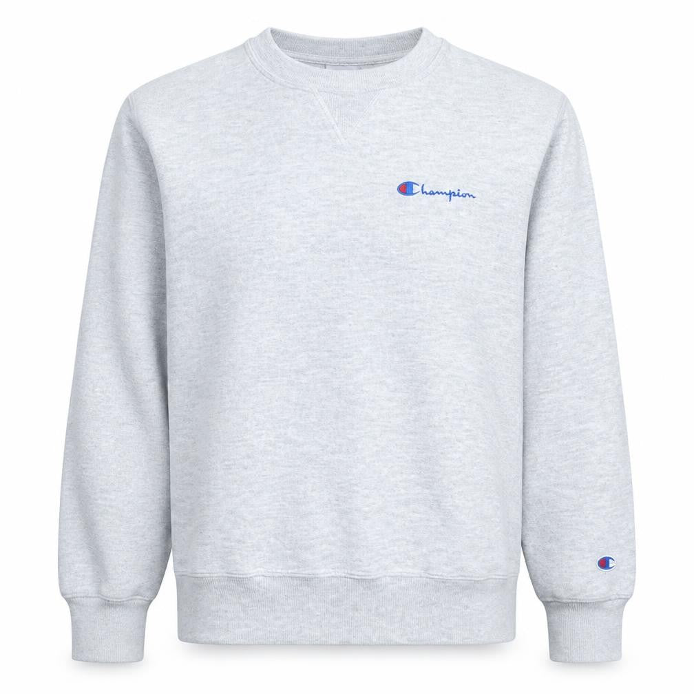 Front view of Champion Men's Grey Small Crew Neck Pullover Sweatshirt