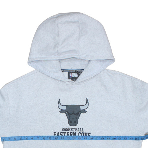 NBA Chicago Bulls Mens Grey Pullover Hoodie Size L