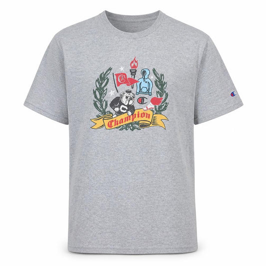 Front view of Champion Men's Grey Graphic Print Crew Neck T-Shirt Medium