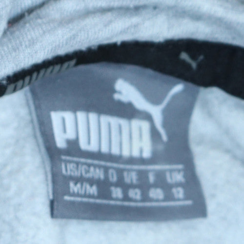 Puma Mens Grey Pullover Hoodie Size M Regular Fit Graphic Logo