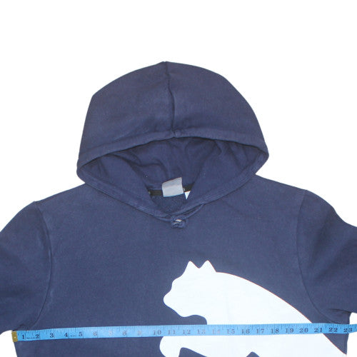 Puma Men's Blue Pullover Hoodie L Sports Graphic Print Fleece