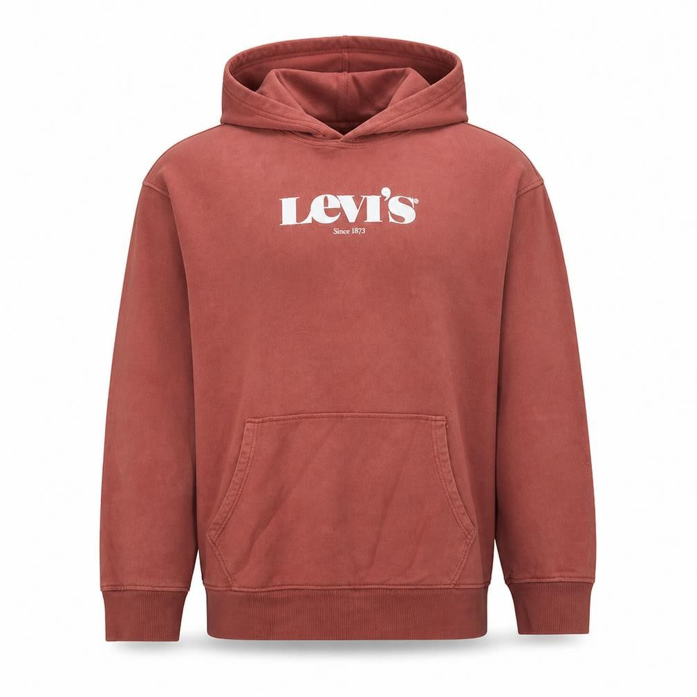 Front view of Levi's Men's Brown Relaxed Pullover Hoodie L Logo Graphic Fleece