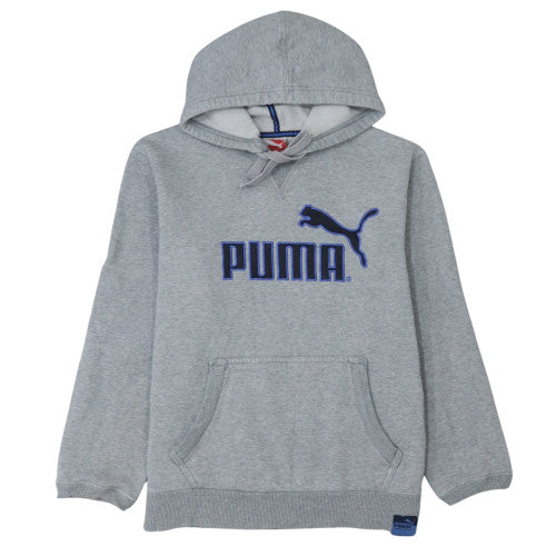 Puma Mens Grey Pullover Hoodie M Regular Fit Sports Fleece