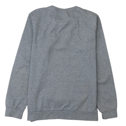 Champion Boys Grey Pullover Crew Neck Sweatshirt 13-14 Years Fleece Logo
