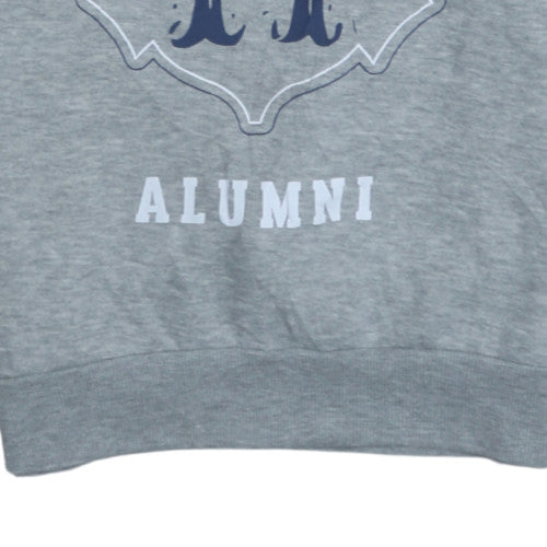 Harry Potter Women's Grey Hogwarts Alumni Pullover Sweatshirt Size S