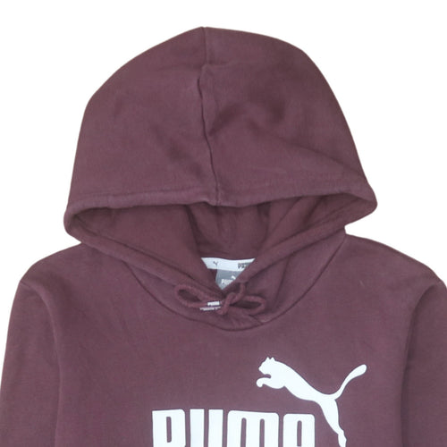 Puma Men's Brown Pullover Hoodie Medium Regular Fit Sports Style