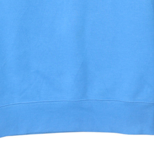 Champion Mens Blue Small Pullover Sweatshirt Crew Neck Fleece Logo