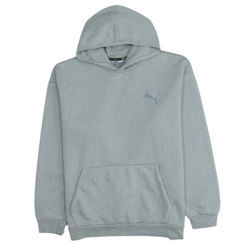 Puma Mens Grey Pullover Hoodie L Grey Fleece Sweatshirt