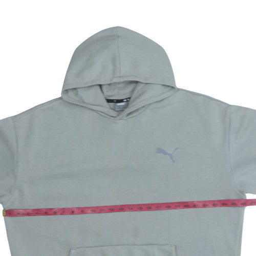 Puma Mens Grey Pullover Hoodie L Grey Fleece Sweatshirt