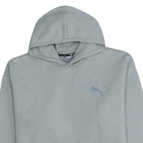 Puma Mens Grey Pullover Hoodie L Grey Fleece Sweatshirt