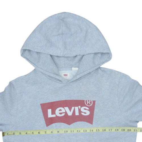Levi's Mens Grey Small Pullover Hoodie with Logo
