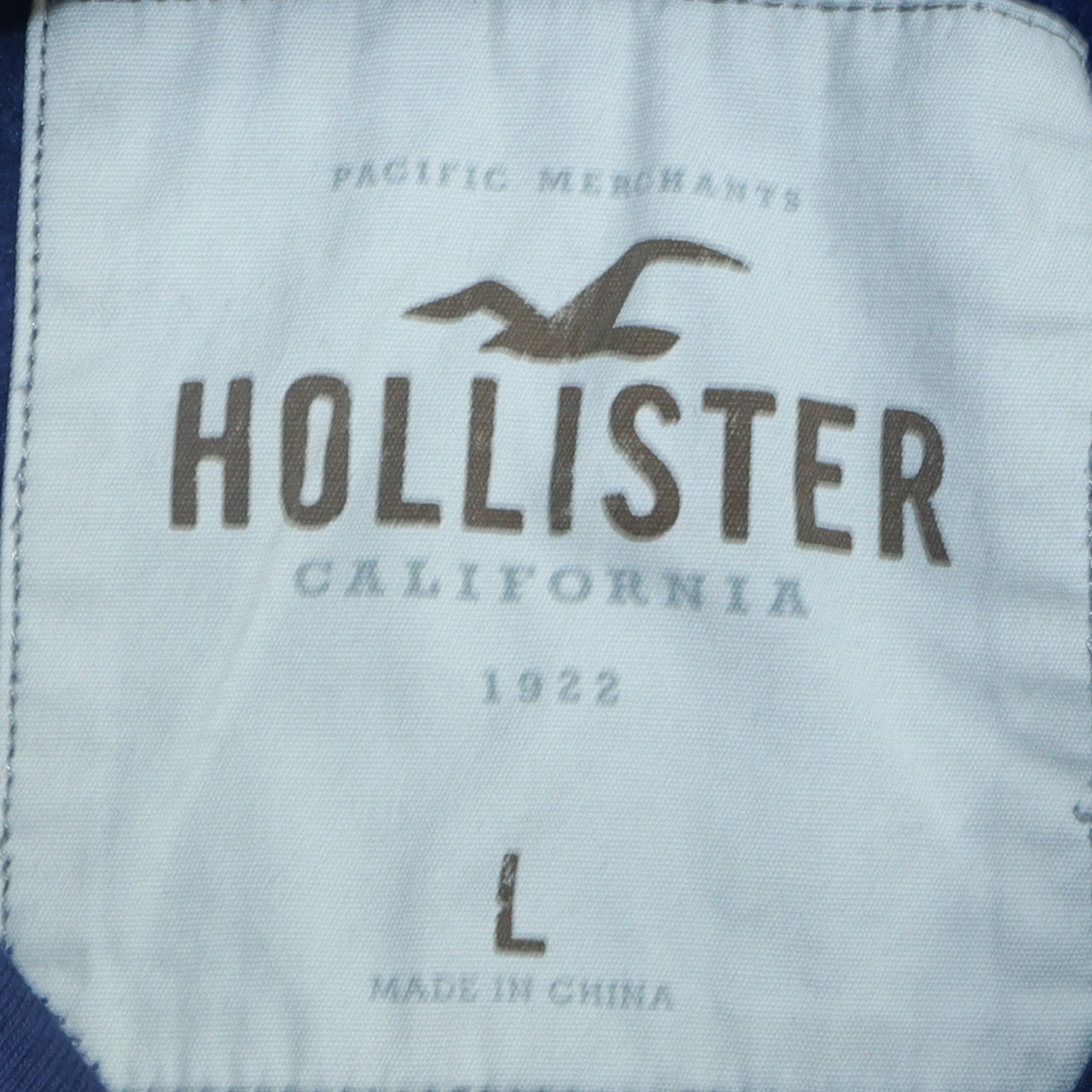 Hollister Men's Blue Pullover Hoodie L Logo Classic Casual
