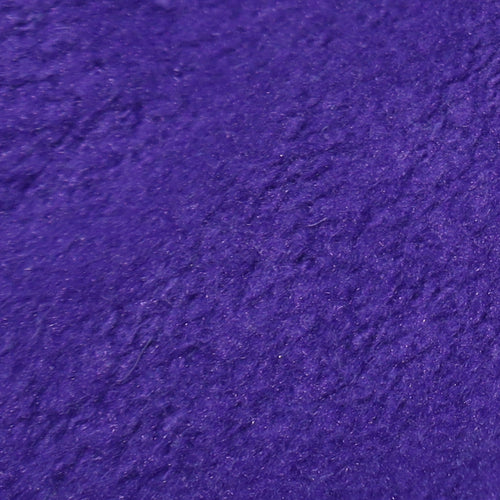 Champion Men's Purple XS Reverse Weave Crew Neck Sweatshirt