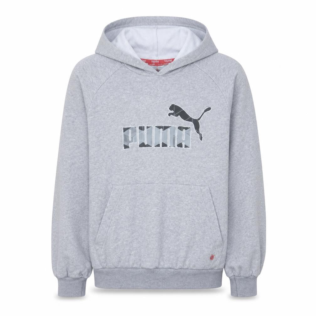 Front view of Puma men’s grey pullover hoodie, size S, graphic fleece sweatshirt