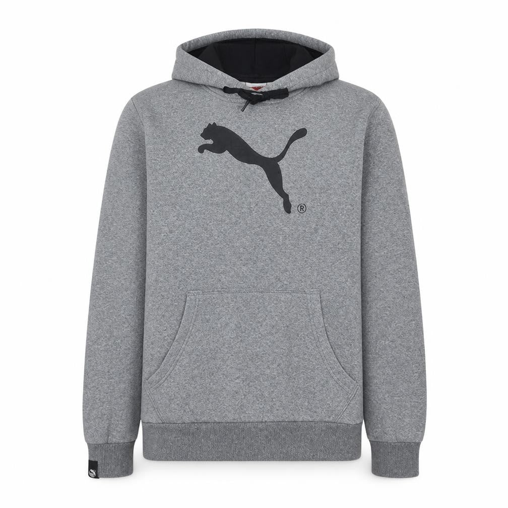 Front view of Puma Men's Grey Pullover Hoodie M Regular Fit Sports Style