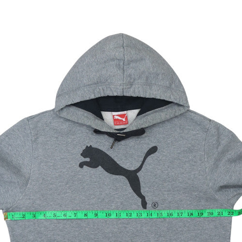 Puma Men's Grey Pullover Hoodie M Regular Fit Sports Style