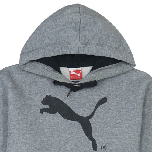 Puma Men's Grey Pullover Hoodie M Regular Fit Sports Style