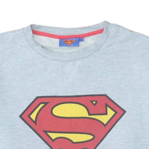 Cedarwood State Men’s Grey Superman Logo Pullover Sweatshirt M