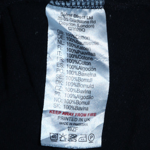 Spiral Men’s Black 2XL Pullover Hoodie Gothic Phoenix Graphic Cotton