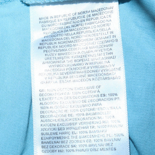 The North Face Men's Blue Graphic Print Crew Neck Cotton T-Shirt M
