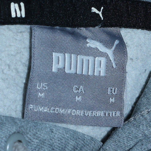 Puma Mens Grey Pullover Hoodie M Regular Fit Sportswear