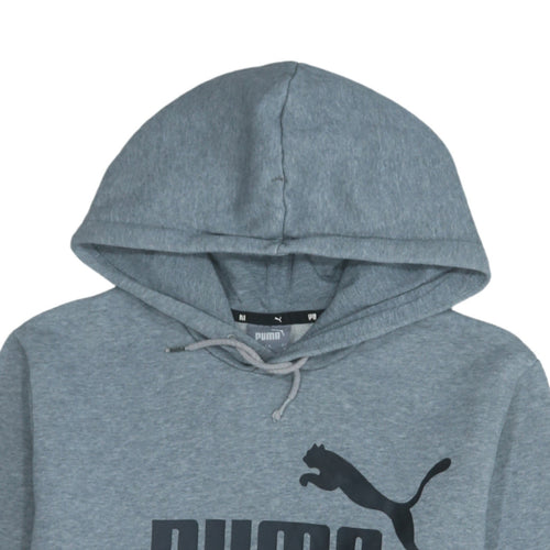 Puma Mens Grey Pullover Hoodie M Regular Fit Sportswear