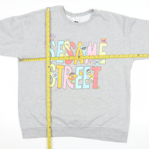 Sesame Street Grey Graphic Print Men's L Crew Neck Pullover Sweatshirt