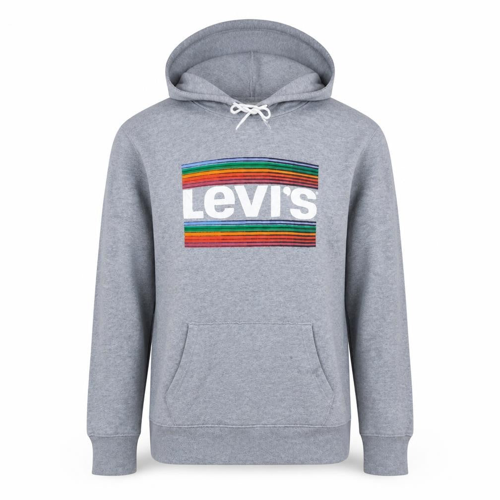 Front view of Levi's Men's Grey Pullover Hoodie M Rainbow Logo Graphic
