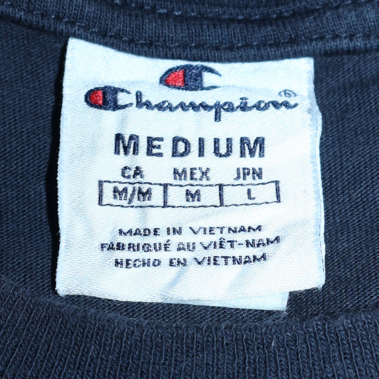 Champion Men's Blue Striped Cotton Crew Neck T-Shirt Size M