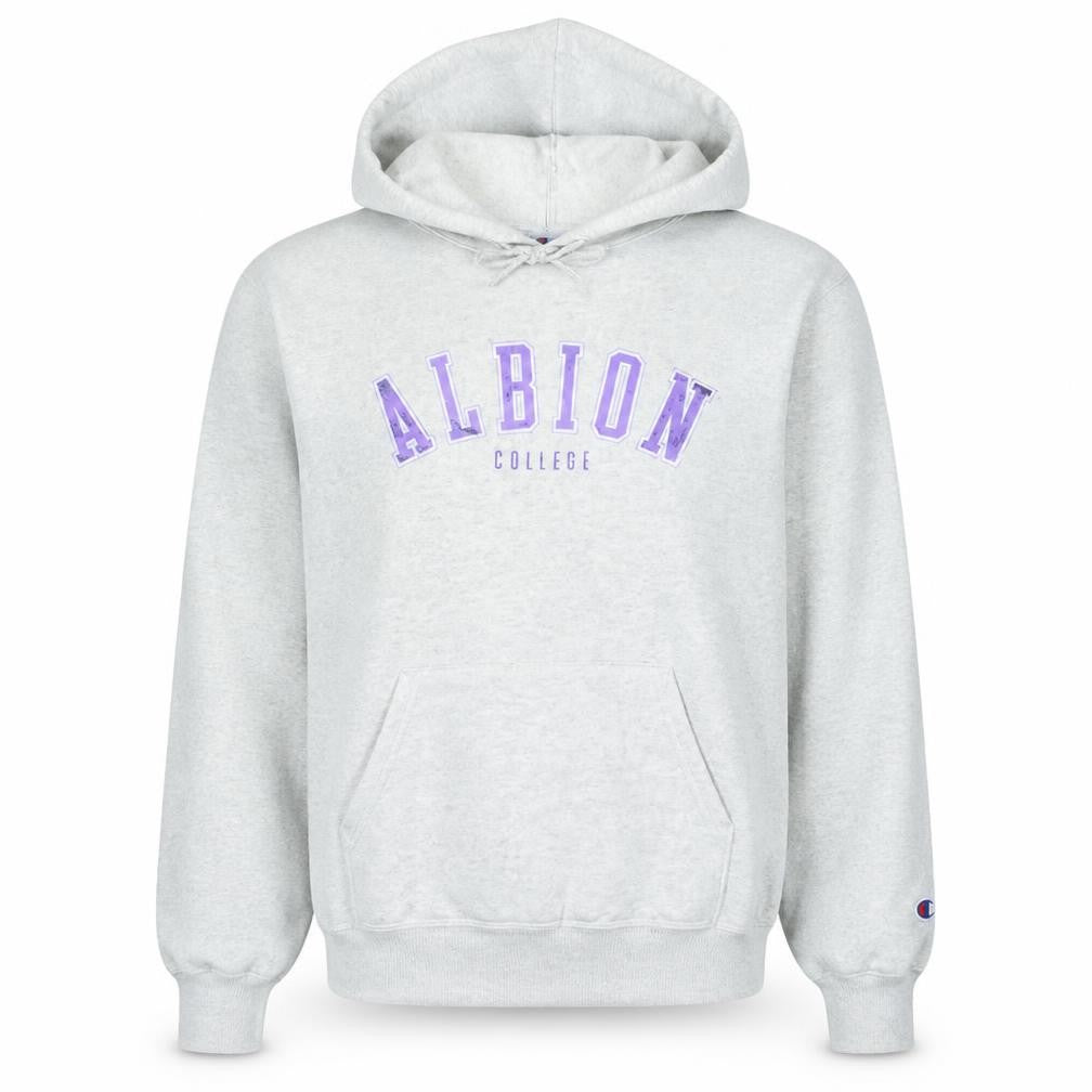 Front view of Champion Women’s Grey Albion College Pullover Hoodie M