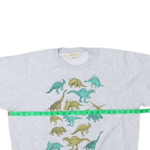 Harper & Lewis Womens Grey Dinosaur Print Pullover Sweatshirt L