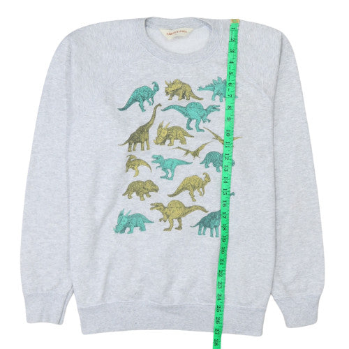 Harper & Lewis Womens Grey Dinosaur Print Pullover Sweatshirt L
