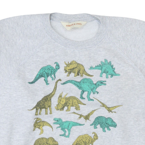 Harper & Lewis Womens Grey Dinosaur Print Pullover Sweatshirt L