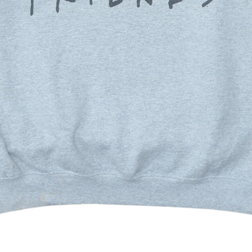 Friends The TV Series Men's Grey 3XL Pullover Sweatshirt