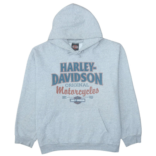Harley-Davidson Men's Grey XL Pullover Hoodie Motorcycle Graphic
