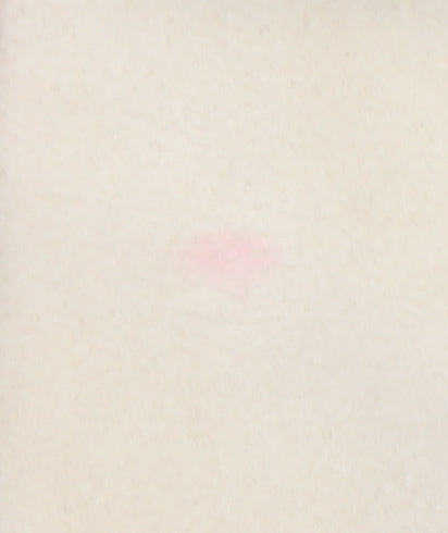 MaxMara Women's Beige Wool Cashmere Long Overcoat Size 16