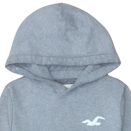 Hollister Men's Grey Hoodie Small Pullover Cotton Blend Logo Style